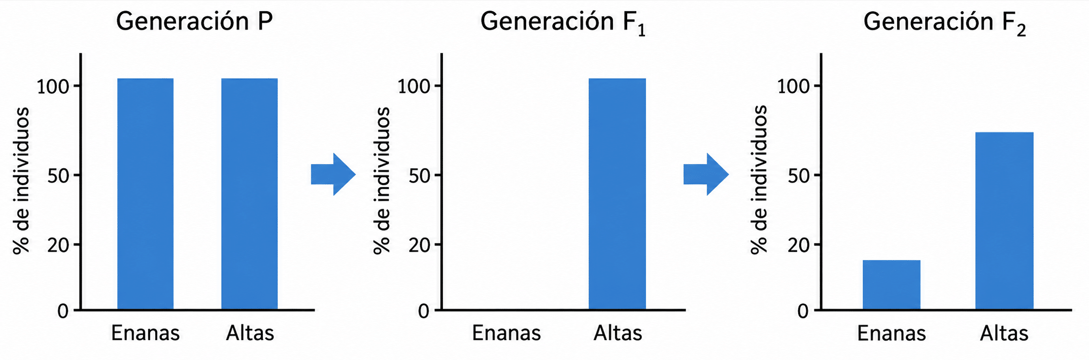 Imagen de la pregunta